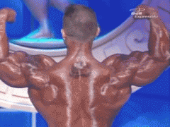 lee_priest_dos_double_biceps_ac_2005.gif