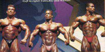 dorian_yates_shawn_ray_flex_wheeler.jpg