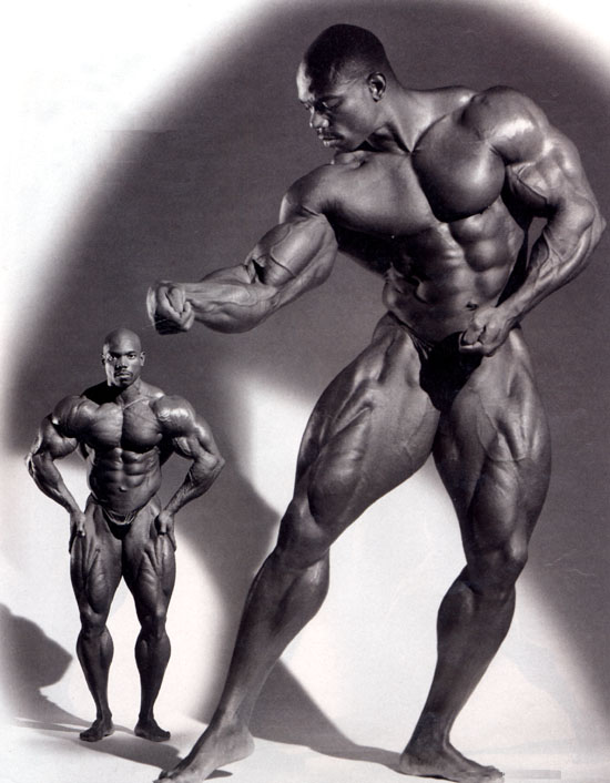 Flex Wheeler спина