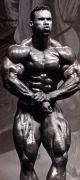 Levrone__a25c203b_.jpg