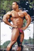 Levrone__ad8513dd_.jpg