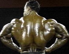 Levrone__98caebc1_.jpg