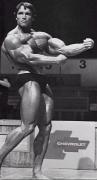arnoldschwarzenegger412.jpg