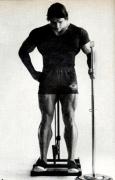 sport395.jpg