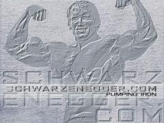 225.jpg