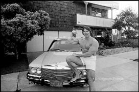 arnold_203.jpg