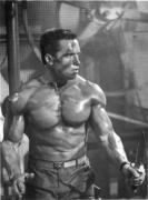 arnie1mp.jpg