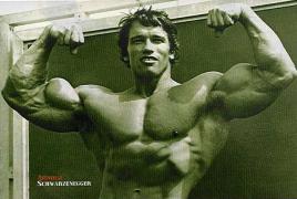 32993arnold01.jpg