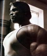32993arnold02.jpg