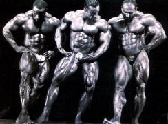Cormier_Levrone_Sonbaty__11160654_.jpg