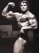 arnold_schwarzenegger1.jpg