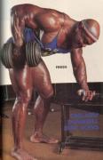 Sergio_Oliva_Back_11.jpg