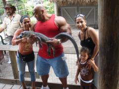Everglades_2.jpg