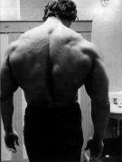 normal_schwarzenegger_arnold_023.jpg