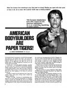 papertiger1.jpg