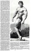 IA1_04arnold2.jpg