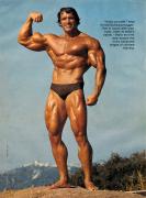 arnold_poster.jpg