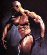 levrone003.jpg