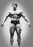 5.gif
