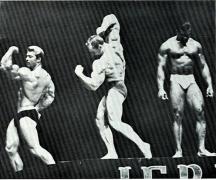 196.jpg