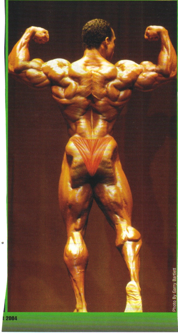 Flex Wheeler спина