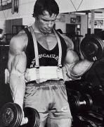 Arnold_20Schwarzenegger_60506.jpg