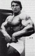 Arnold_20Schwarzenegger_33103.jpg