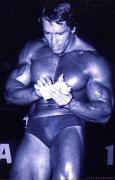 Arnold_20Schwarzenegger_33021.jpg