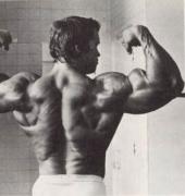 Arnold_20Schwarzenegger_13946.jpg