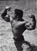 Arnold_20Schwarzenegger_13748.jpg