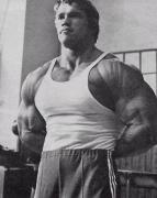 Arnold_20Schwarzenegger_13742.jpg