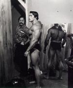 Arnold_20Schwarzenegger_13612.jpg