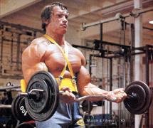 Arnold_20Schwarzenegger_26754.jpg