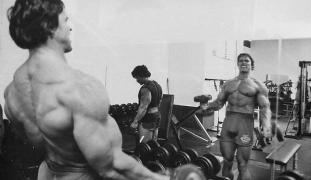 Arnold_20Schwarzenegger_13529.jpg
