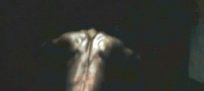 300.gif