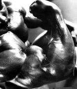 Flex_Wheeler_0032.jpg