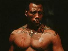 snipes_200610181245140.jpg