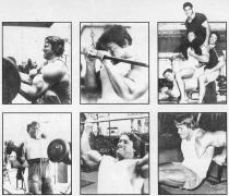 Arnold_Schwarzenegger_60583.jpg
