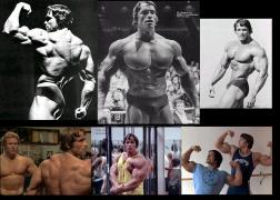 Arnold_Schwarzenegger_60577.jpg