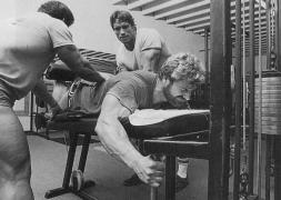 Arnold_Schwarzenegger_33159.jpg