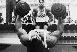 Arnold_Schwarzenegger_33140.jpg