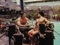 Arnold_Schwarzenegger_33153.jpg