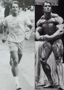 Arnold_20Schwarzenegger_60571.jpg