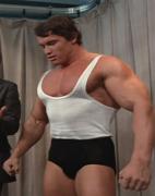 Arnold_20Schwarzenegger_13709.jpg