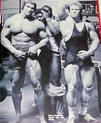 Arnold_Schwarzenegger_13853.jpg