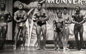 Arnold_20Schwarzenegger_13235.jpg