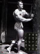 Arnold_20Schwarzenegger_13056.jpg
