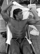 Arnold_20Schwarzenegger_13353.jpg