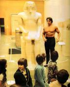 Arnold_20Schwarzenegger_13481.jpg