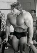 Arnold_20Schwarzenegger_13263.jpg
